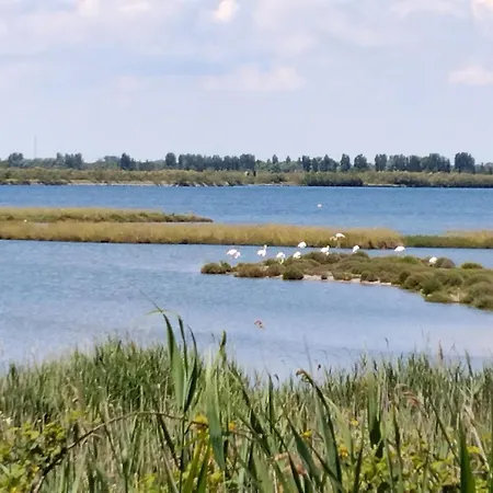 Venice Delta Lagoon