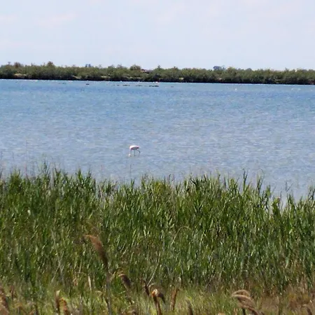 Apartment Venice Delta Lagoon