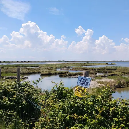 Venice Delta Lagoon