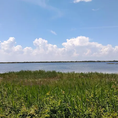 Venice Delta Lagoon *